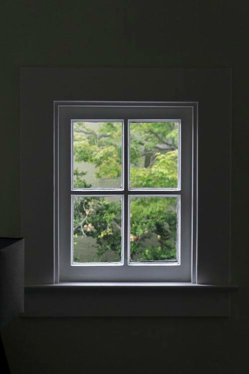 Blick aus dunkler Wohnung durch ein Fenster raus in Grüne