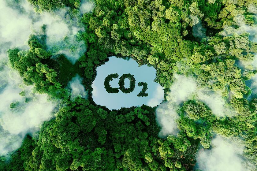 Wald von oben in dem CO2 ausgestanzt ist