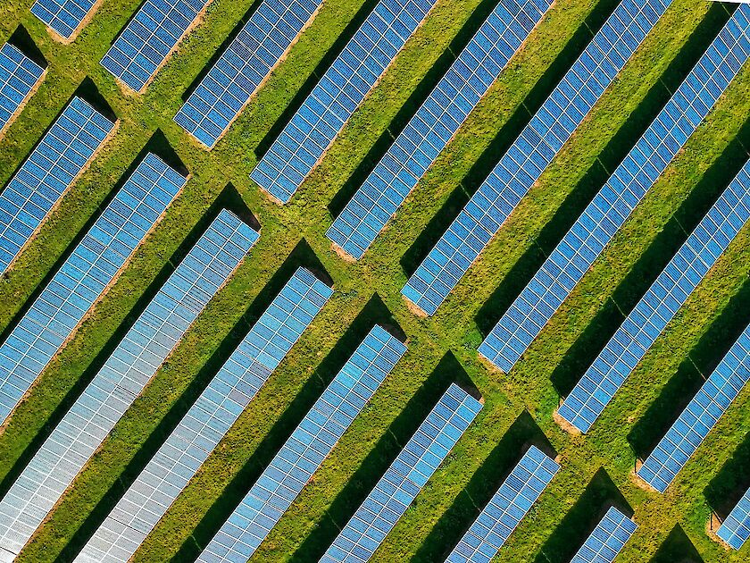 Feld mit Solaranlagen von oben