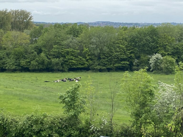 Ausblick